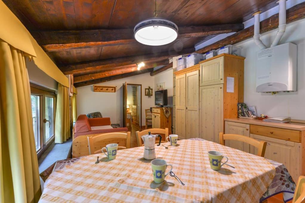 38-Volpini House In Amiata - Val D'Orcia, Saturnia, Feste&Sagre Castel del Piano  Dış mekan fotoğraf