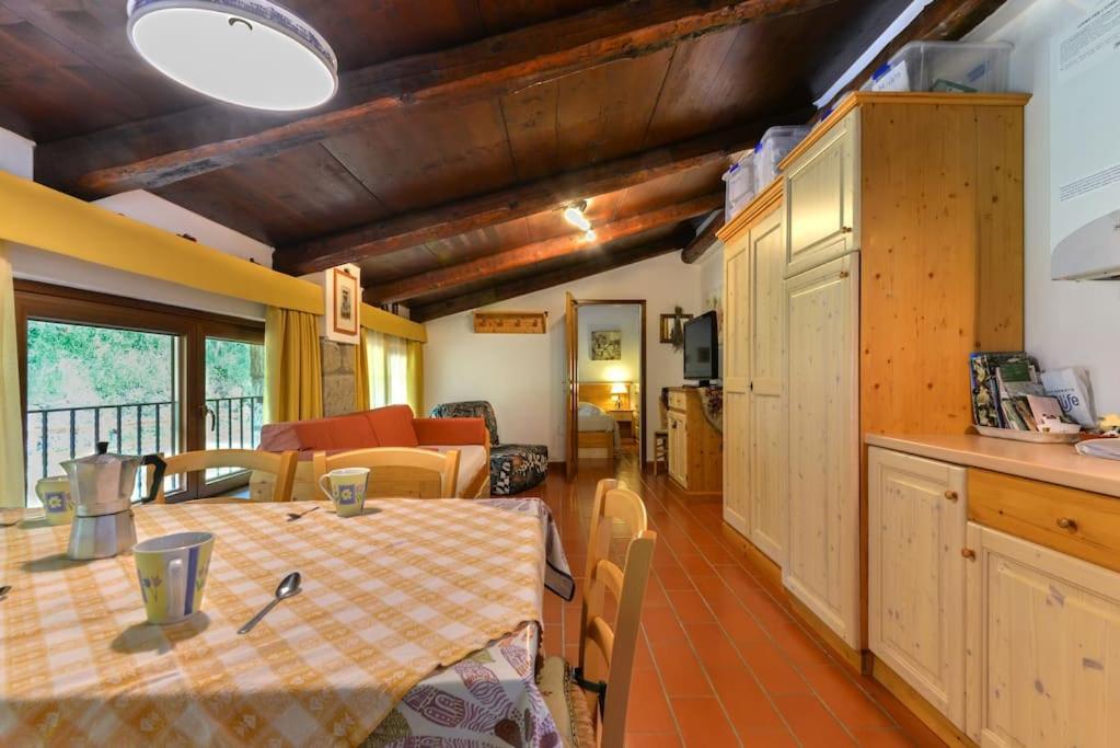 38-Volpini House In Amiata - Val D'Orcia, Saturnia, Feste&Sagre Castel del Piano  Dış mekan fotoğraf